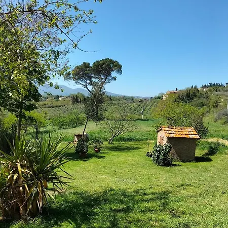 Apartmán L'oca Nera Chiusi