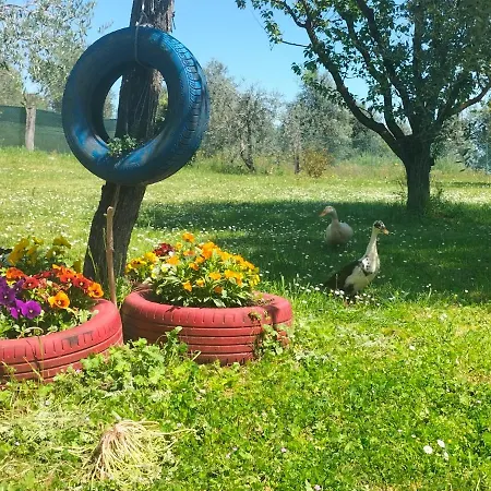 L'oca Nera Apartmán