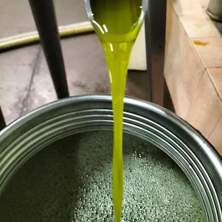 L'oca Nera Apartmán Chiusi