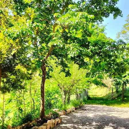 L'oca Nera Apartmán Chiusi