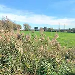 L'oca Nera *