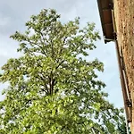 L'oca Nera Lägenhet