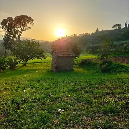 L'oca Nera