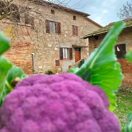 L'oca Nera Appartement *