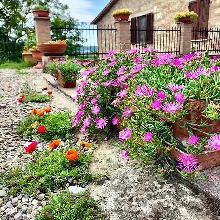L'oca Nera Chiusi