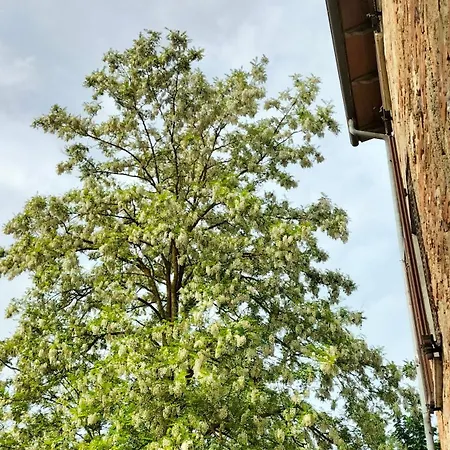 L'oca Nera Appartement