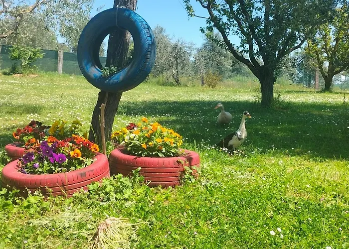 L'oca Nera 아파트