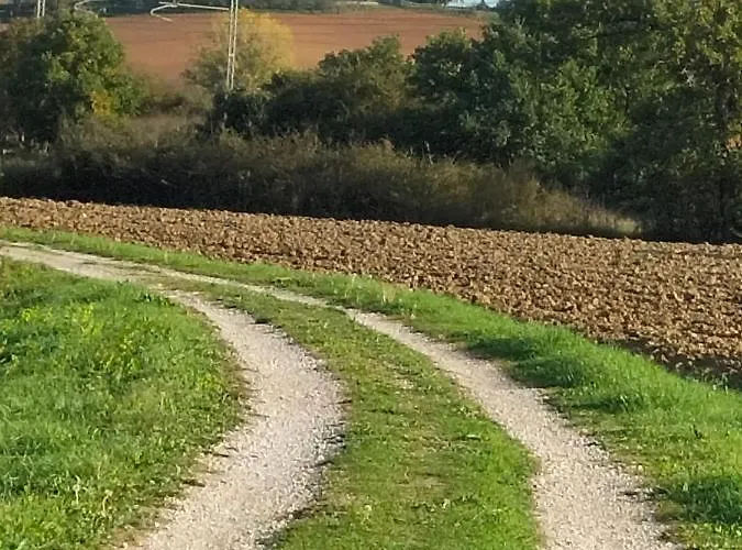 Apartamento L'oca Nera