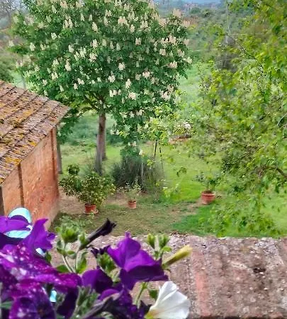 Apartament L'oca Nera *