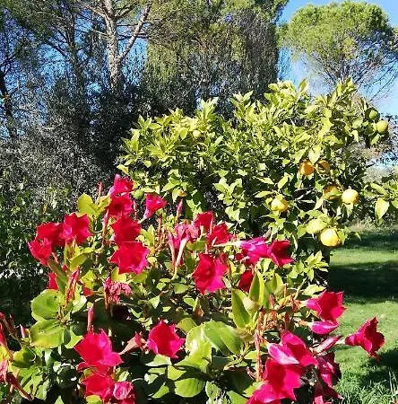 Apartament L'oca Nera