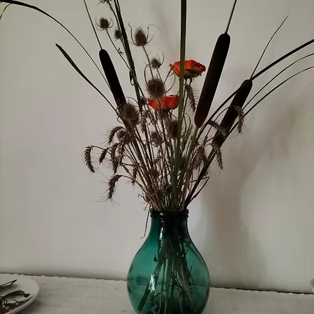 Apartament L'oca Nera